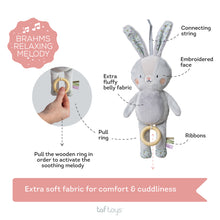 Load image into Gallery viewer, Taf Toys Rylee Musical Bunny
