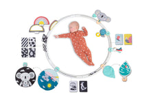 Load image into Gallery viewer, Taf Toys All Around Me Activity Hoop
