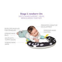 Load image into Gallery viewer, 2 in 1 Tummy Time Pillow
