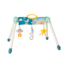 Load image into Gallery viewer, Mini Moon Take To Play Baby Gym
