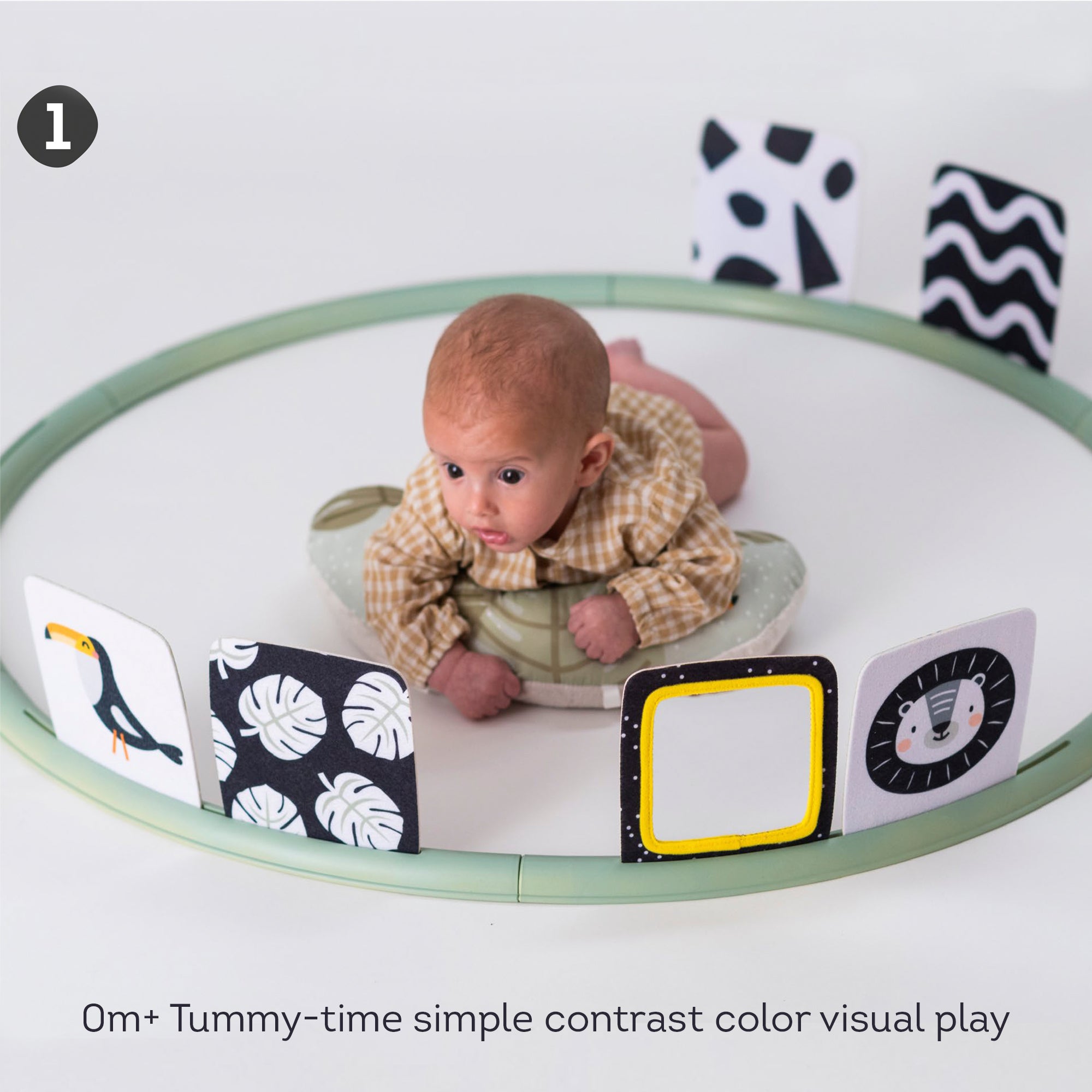 Taf Toys Tummy time trainer 0m+ – Playette
